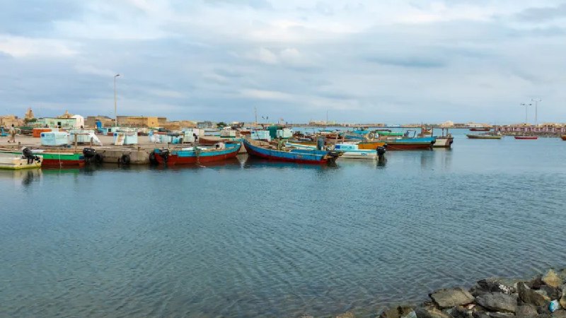 苏丹向俄罗斯在红海建立永久基地敞开大门