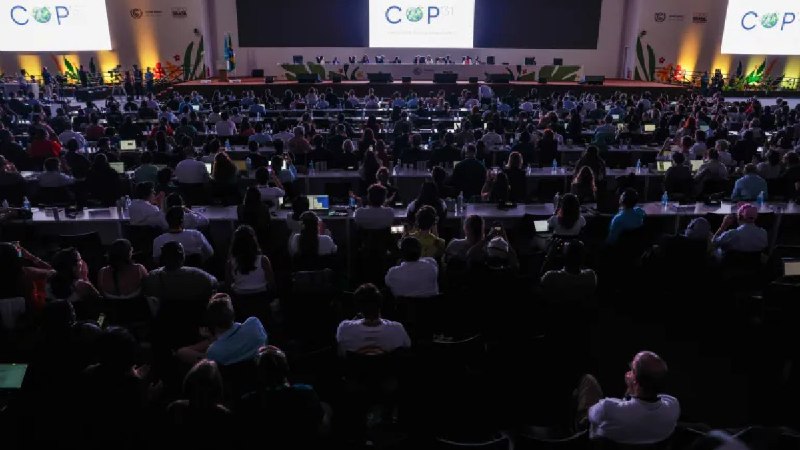 世界各国领导人和人权组织对COP30气候协议做出反应