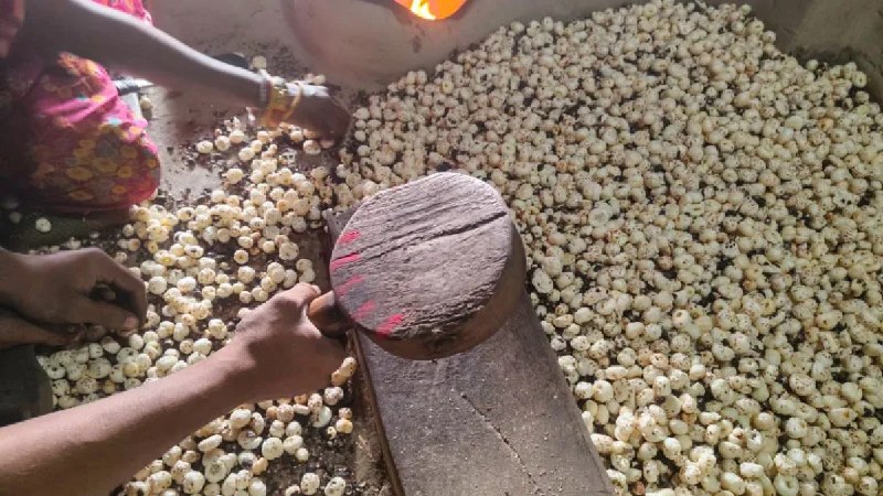 超级食品寻求新的市场：印度芡实受到特朗普关税政策打击