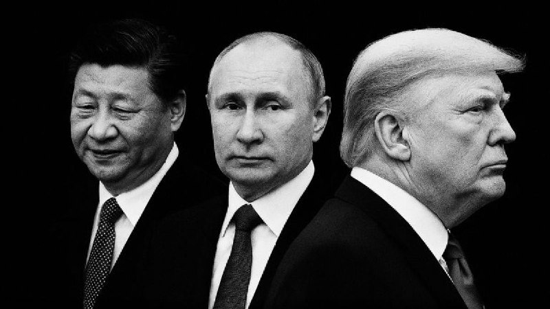 让他们打吧，你就坐等看戏